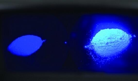 1613fb9c4f1963164b75a7ab3183210d